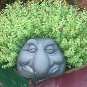 Meet your Posher, Allen